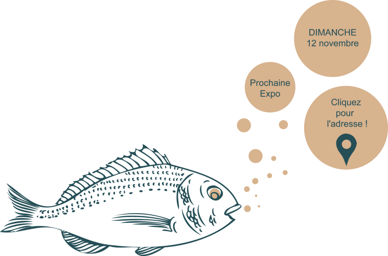 fond de page poissons bleus