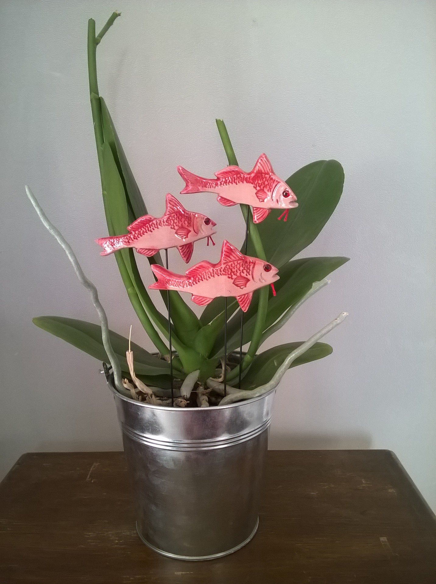 Rougets et orchidée